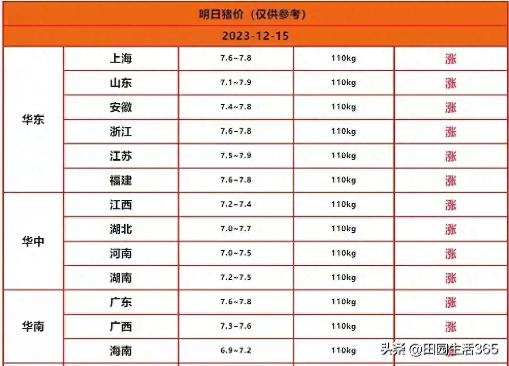 明天2023年12月15日生猪价格信息，继续大面积上涨，全线飘红