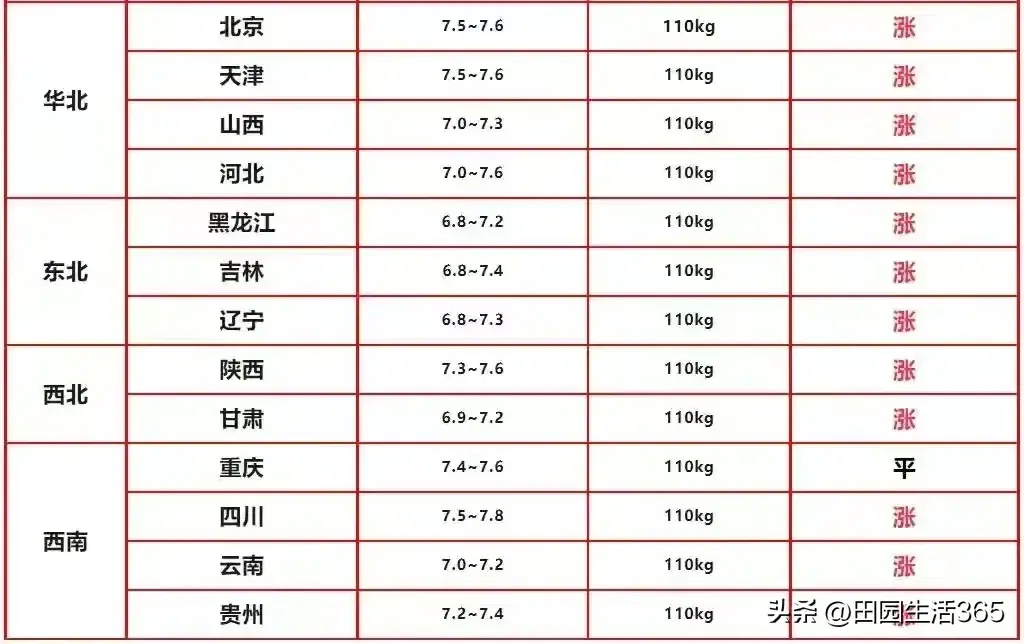 明天2023年12月15日生猪价格信息，继续大面积上涨，全线飘红