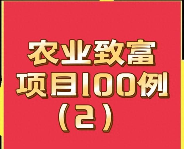 农业致富项目100例，想发家致富的看过来，建议收藏(2)