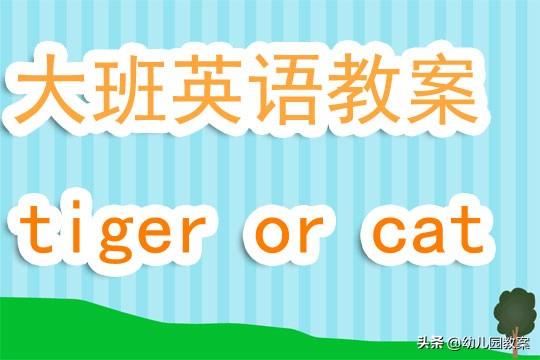 幼儿园大班英语教案《tiger or cat》含反思