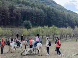 微博：澳门六开奖结果资料查询网站-十一旅游去哪里？答案在这里