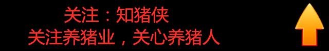 百度知道：奥门开彩开奖结果2024澳门开奖记录7月21日开奖号码-新建养猪场需要符合什么条件？地址选择与合理布局是第一步