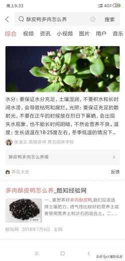 这种多肉，听名字会直流口水，养护注意3点，长成肥美“小鸭子”