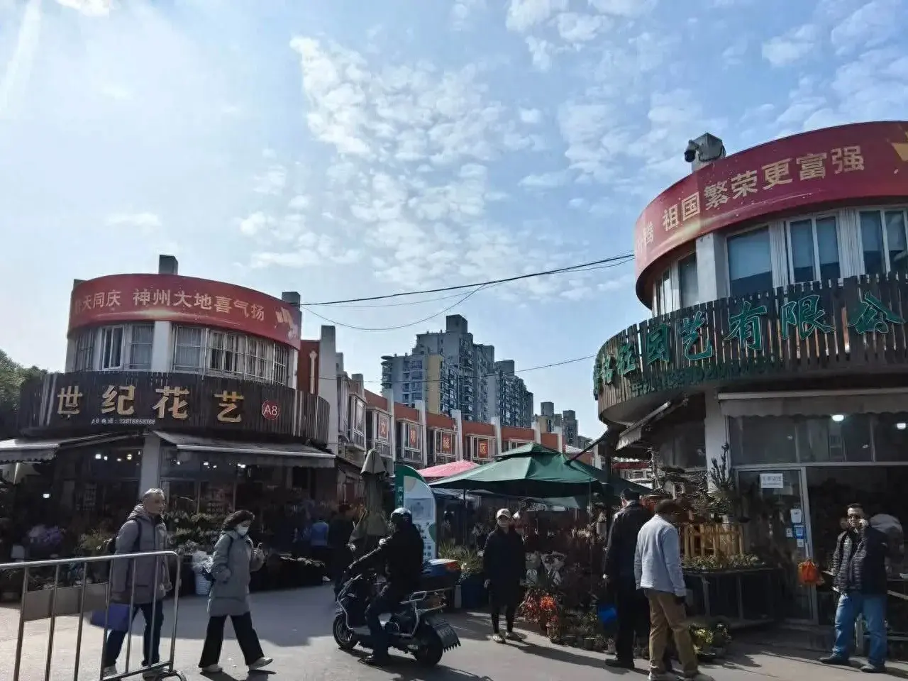 上海普陀区灵石路有个岚灵花鸟市场，不光卖花鸟，还有宠物…