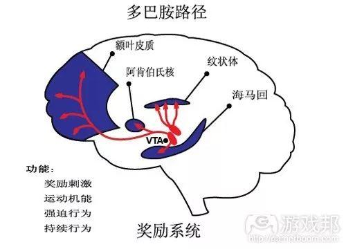 小植图谱丨罂粟，魔鬼降临