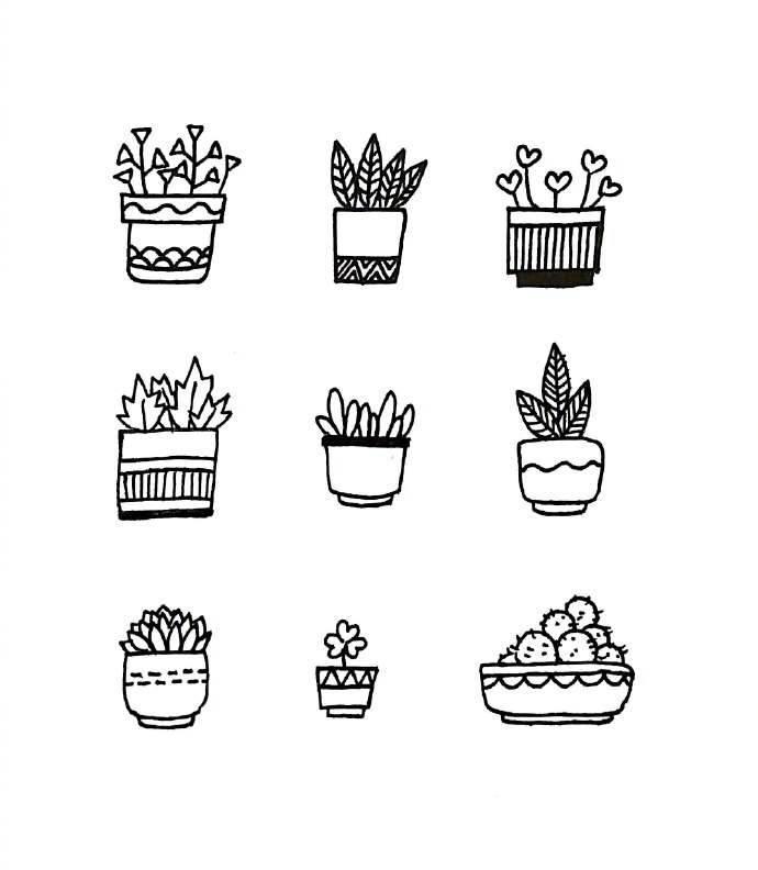 81种盆栽植物简笔画，超级简单，这个周末陪孩子在家画吧！