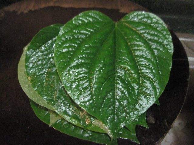 这野草路边成堆长，其实能当菜，做成“蛤蒌饭”香味真浓郁