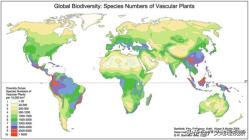 世界植物种类多样性地图