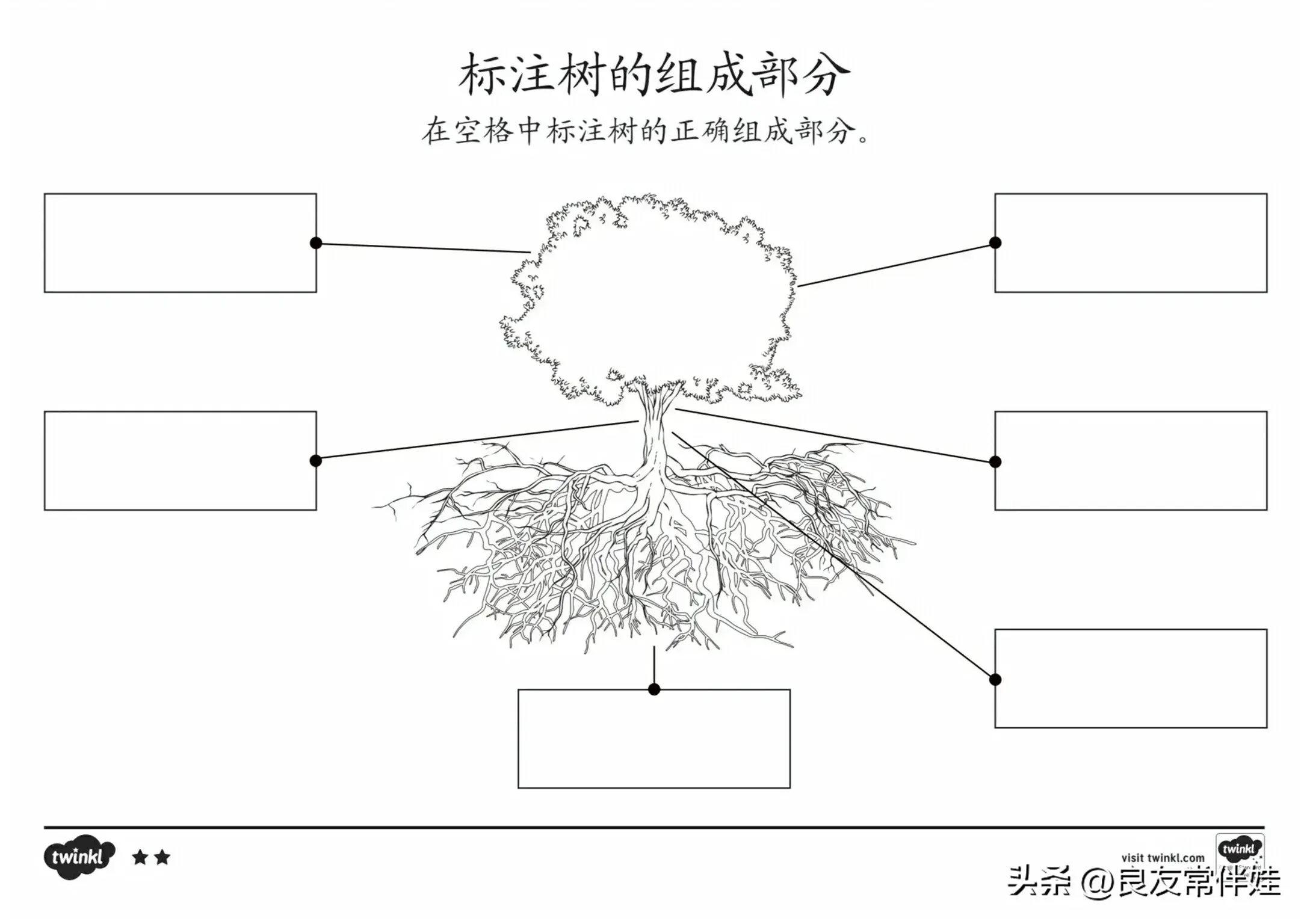 「植树节」为小朋友准备的植物种植观察图