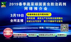 首次揭秘！一亩多卖3000元以上，原来都是用了“它”！