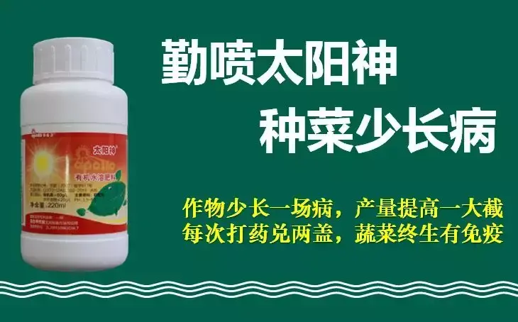 首次揭秘！一亩多卖3000元以上，原来都是用了“它”！