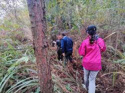 “龙里境内发现成片斑叶兰”引关注，兰科植物保育中心正在建设