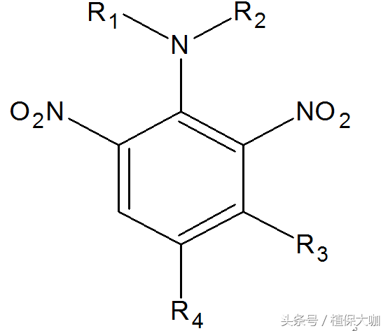 植保基础知识之除草剂二硝基苯胺类（农资农技从业人员必备）