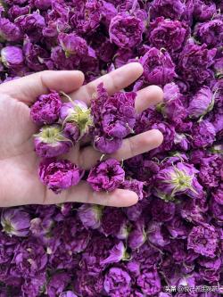 花茶与花草茶的区别！花茶和花草茶一字之差，意思却相差千里