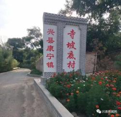 兴县寺坡底村：精彩蝶变，绘就振兴新图景