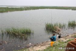 仲春浅滩野钓鲫鱼，4种水草地形是首选，全是天然鱼窝子