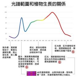  植物必须要通过太阳光合作用吗？月亮的光可不可以？