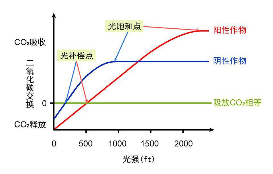  植物必须要通过太阳光合作用吗？月亮的光可不可以？