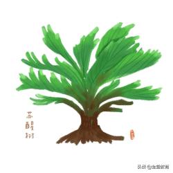 给孩子的植物百科图鉴，看看你认识几个？