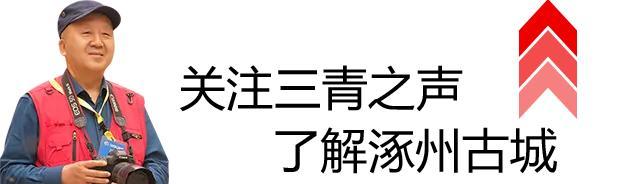 《三青之声索文读后感》