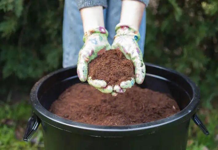 秋季的庭院，植物养护需要着重关注这几点