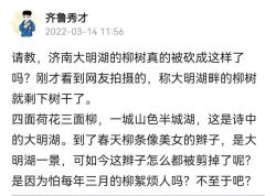 济南大明湖的不少柳树为啥只剩树干？天下第一泉景区来解释啦