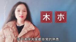 木朩，什么情况下用木，什么情况下用朩，看完你就懂了