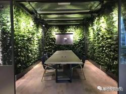 常用于室内植物墙的18种绿植，你都认识吗？