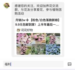 你的植物为什么夏天总是枯黄？可能是你的浇水方法出了问题！