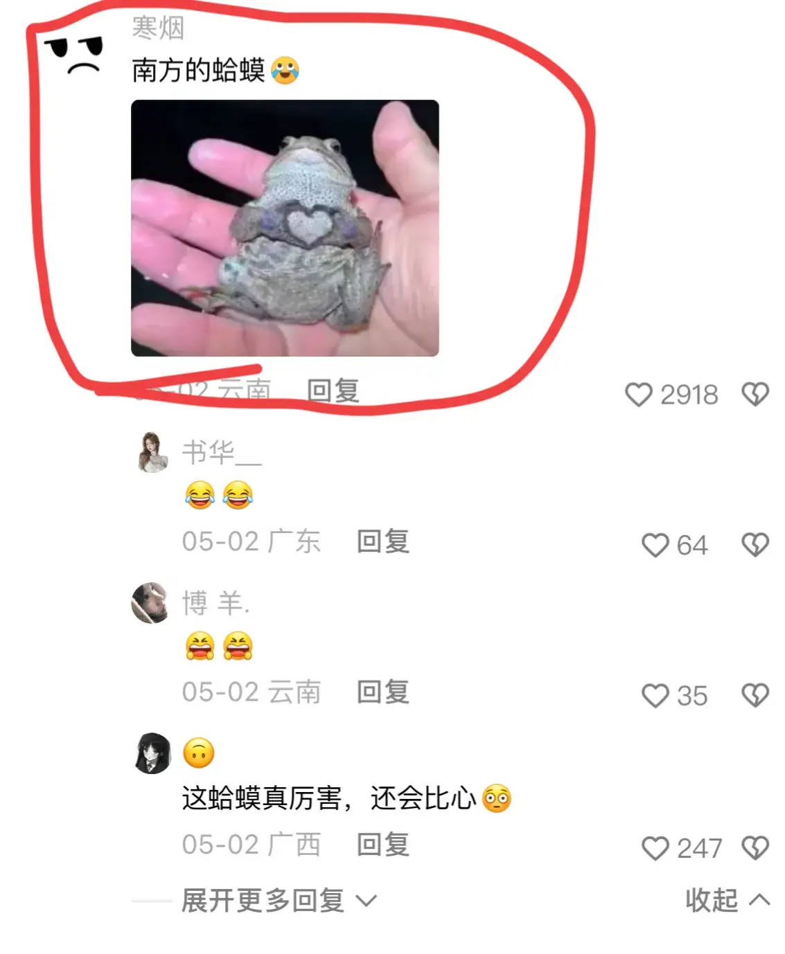 论南北方的绿植差异有多大？网友：难道北方真的没有吗？