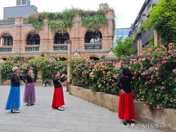 洛阳披“彩妆”，从一枝独秀到四季有花，“北国花城”建设初见成效