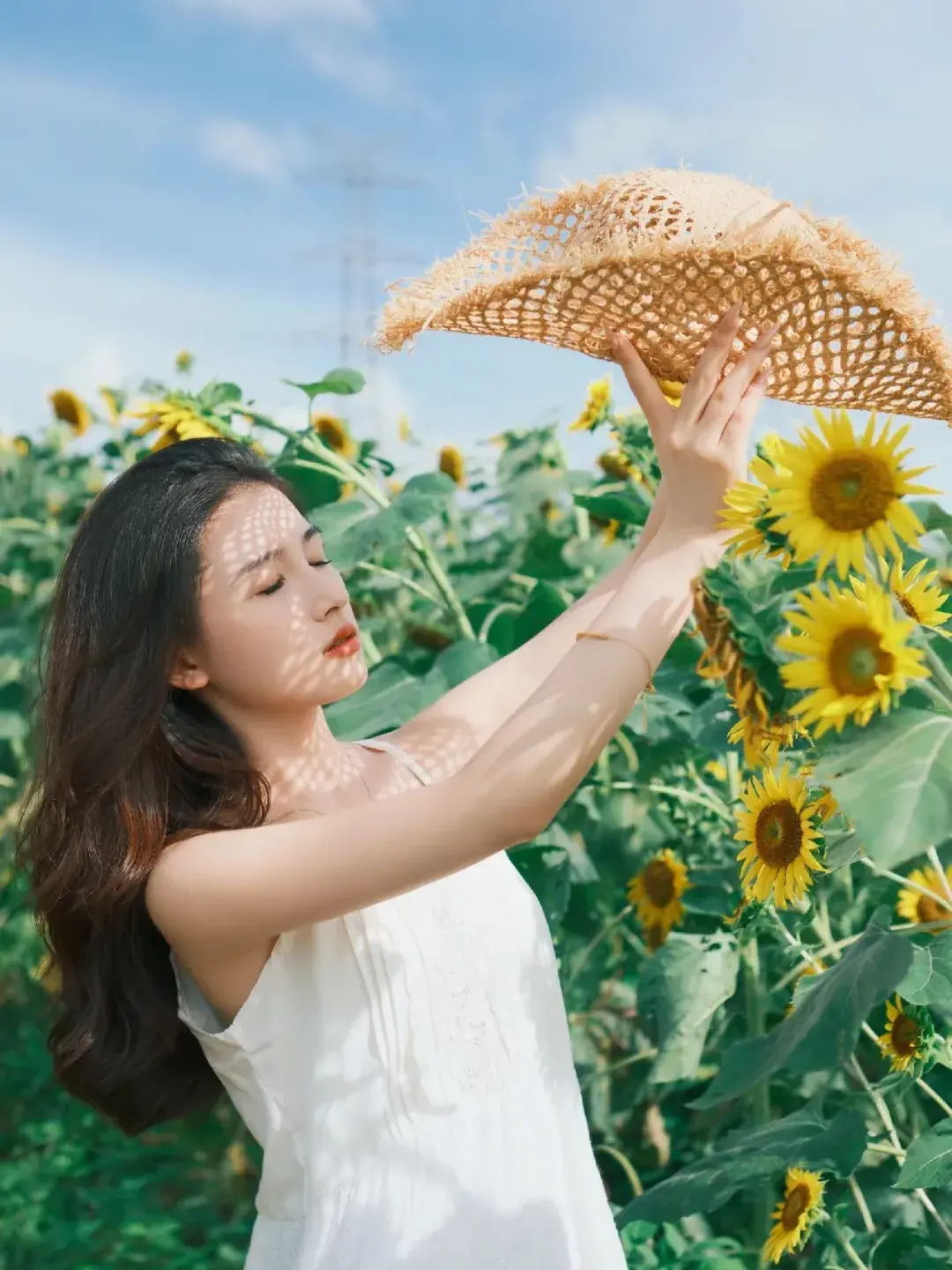 9个向日葵花海拍照姿势，轻松拍出浪漫田园风，活力清新又唯美！