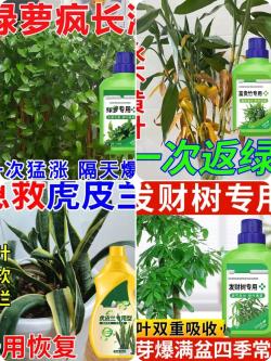 养啥植物都用专用肥，纯纯智商税，养花施肥一点都不复杂