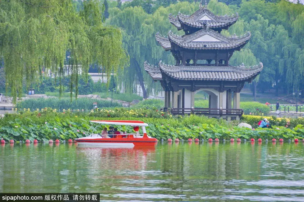 这几个公园“上新”了，有菊花、兰花、南瓜、石榴、山楂…