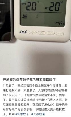 上海人怒了,12月还被蚊子吵！今天10万人出动灭蚊！专家:千万别用杀虫剂...  