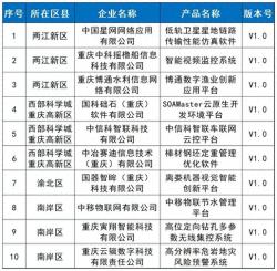 10个入选！2024年第二批重庆市首版次软件产品名单出炉  