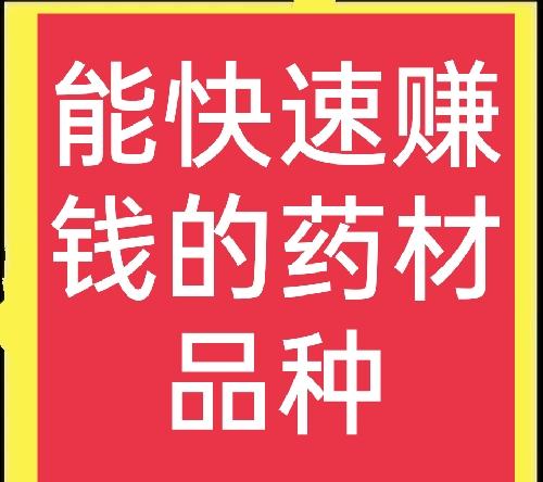 想发财种药材，分享六种高收入药材，建议收藏 