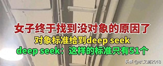 笑喷！上海一女子把找对象的标准发给Deep Seek，结果只有51人符合 