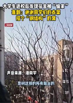 大学生返校发现被喜鹊“偷家”了， 网友：“钢结构”的窝 