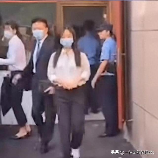 谭松韵母亲被撞身亡案